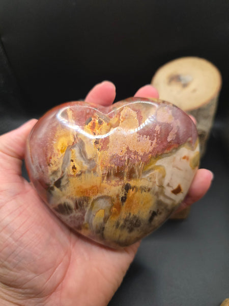 Petrified Wood Heart